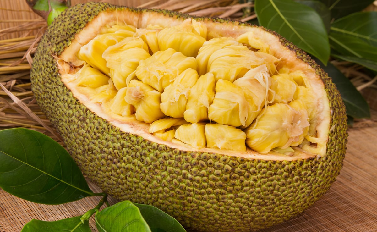 You can easily spot the best jackfruit for you with these easy steps.