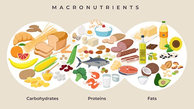 Macronutrients are needed in plenty by our bodies. 