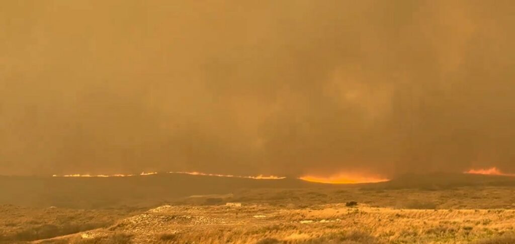 evacuation wildfires texas