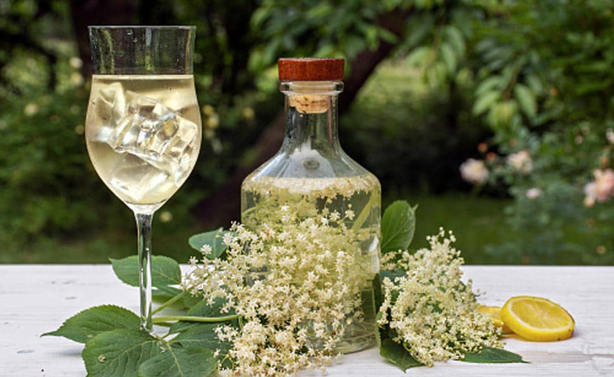 Have you ever tried elderflower-infused gin?