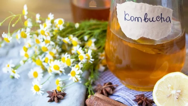 Kombucha Brewed According To The Lunar Cycle