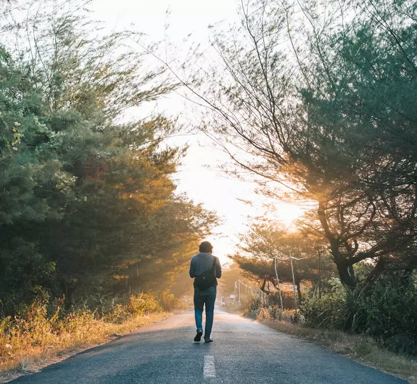 Walking Spending time in nature has been proven to lower stress and uplift mood. Take your workouts outside if feasible, or simply go for a walk in the park. Breathe in the fresh air, absorb the natural surroundings, and let it all raise your spirits.