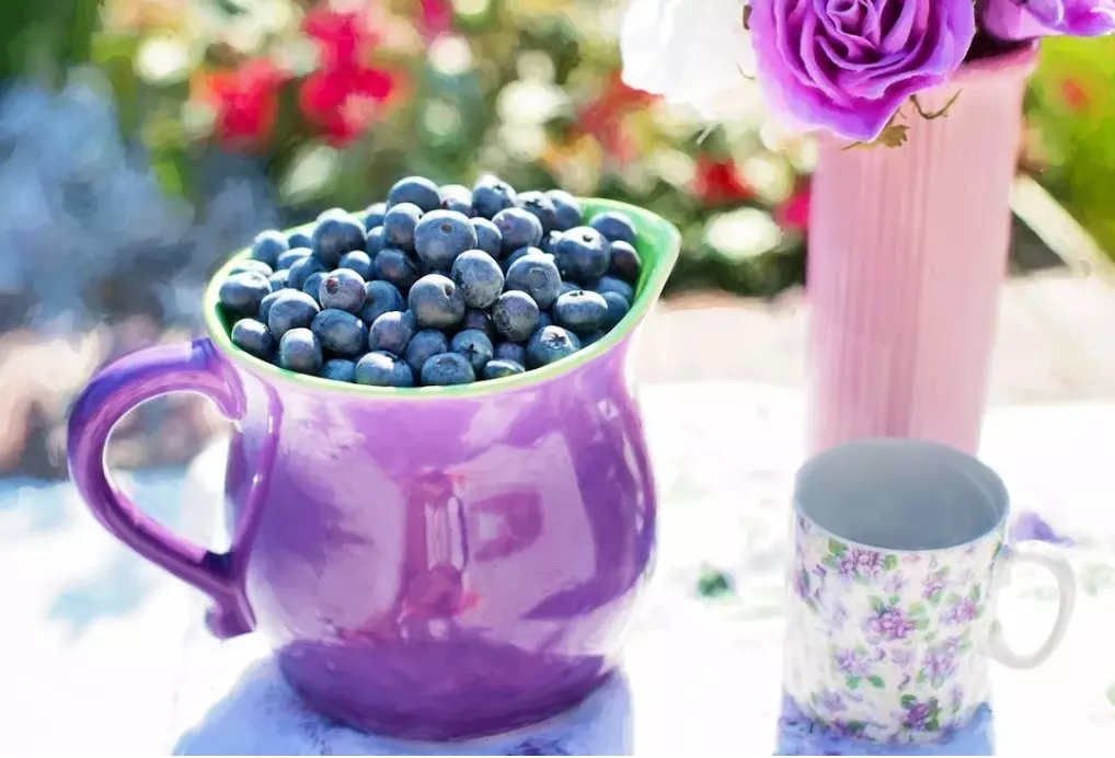 Blueberries Blueberries are among the most nutrient-dense fruits. These fruits are rich in antioxidants and boost brain functioning. It helps in improving memory and because of its anti-inflammatory properties, they are also helpful in improving mental disorders.