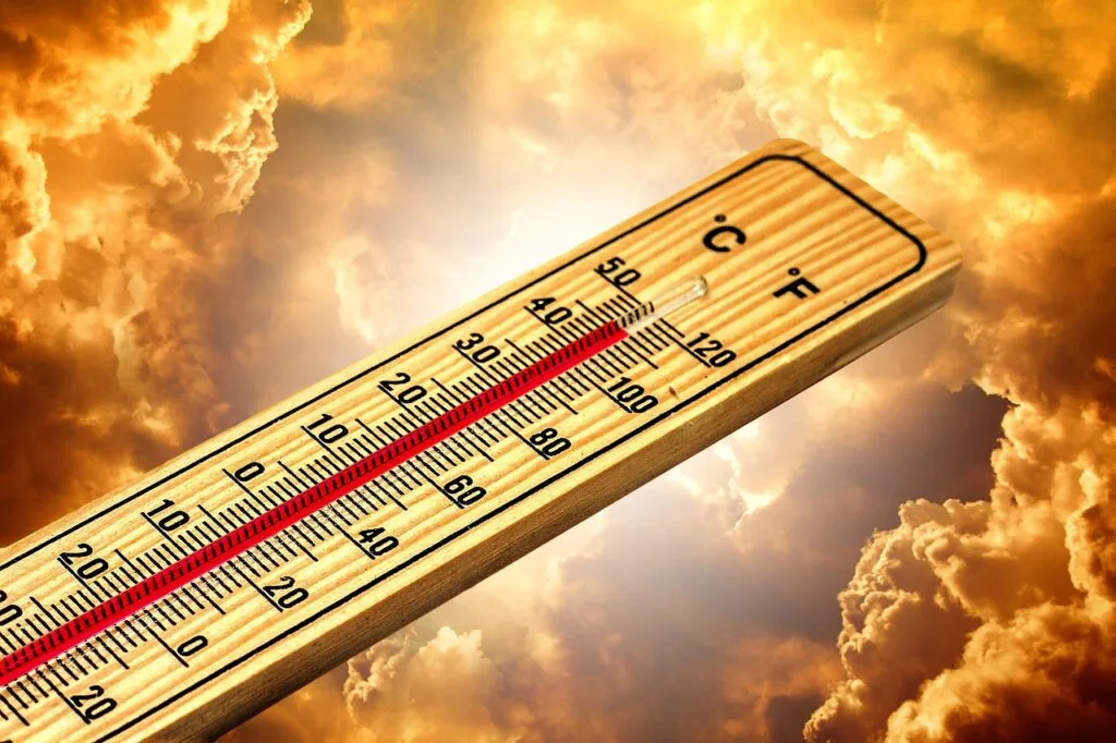 Heatstroke kills 14 Indians in one day: state government