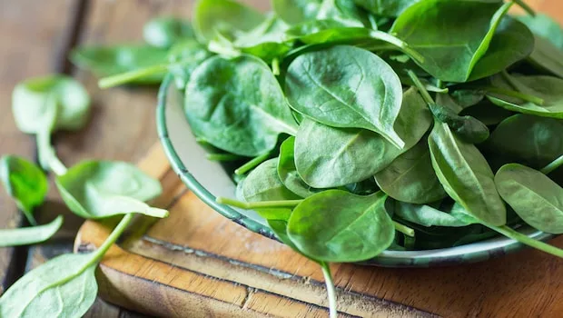 Spinach is an excellent alternative to fenugreek leaves.