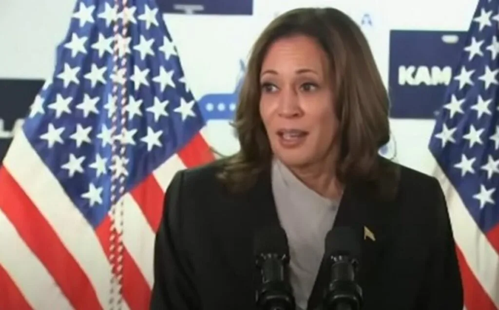 Democratic leaders in US Congress endorse Kamala Harris for president