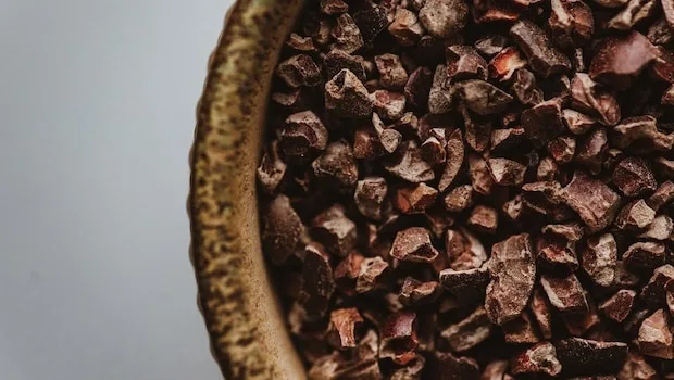 Cacao Nibs