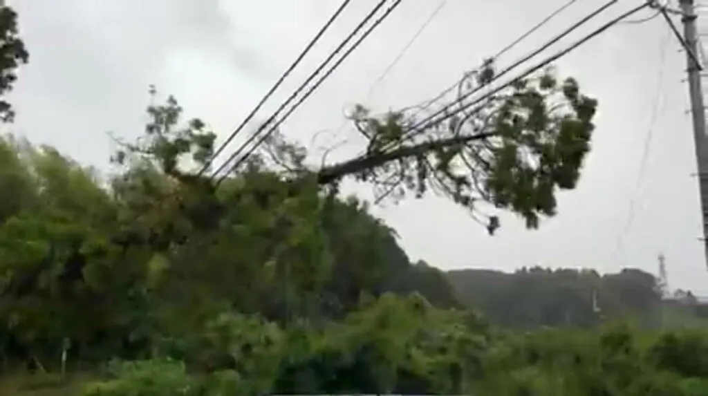 japan typhoon