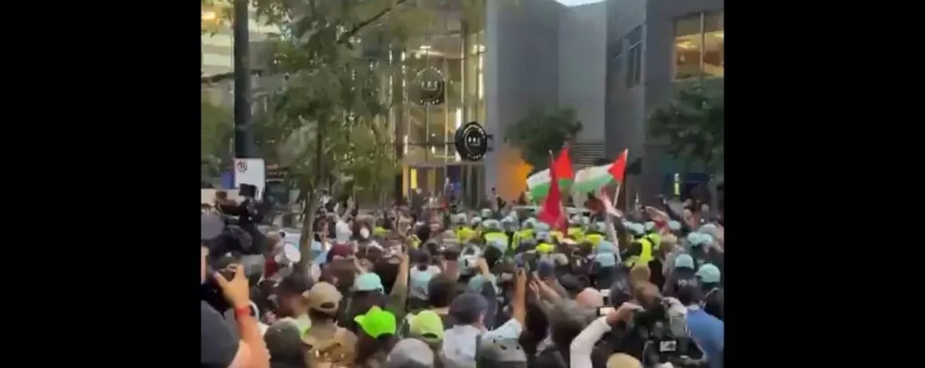 Pro-Palestine DNC delegates welcome Biden's exit but side-eye Harris