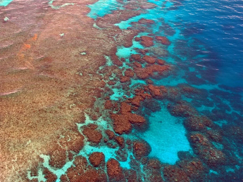 El Nino could imperil Australia's Great Barrier Reef