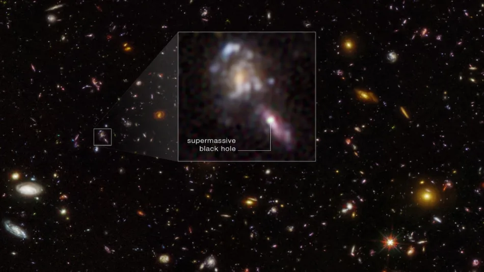 NASA Hubble Space Telescope Finds a High Number of Black Holes in the Early Universe