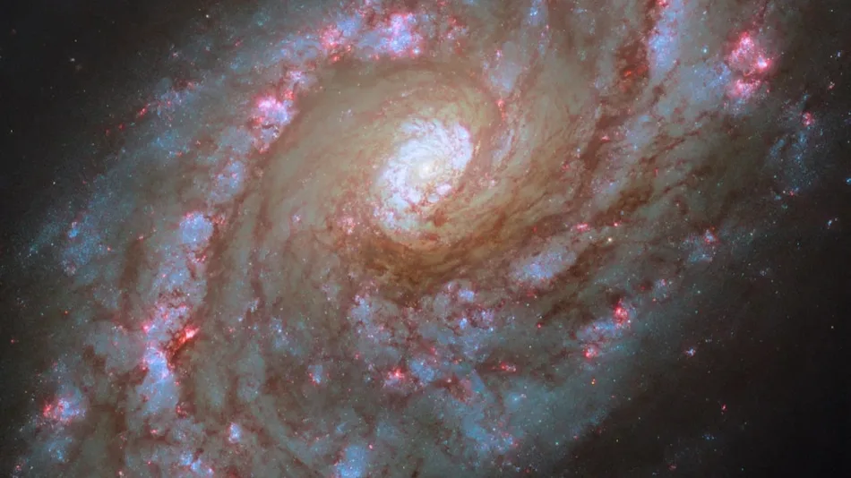 NASA Hubble Space Telescope Captures a Spiral Galaxy With Multiple Starburst Regions